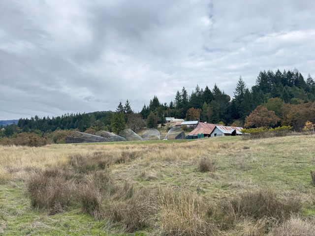 170 Justice Road, Zenia, CA 95595