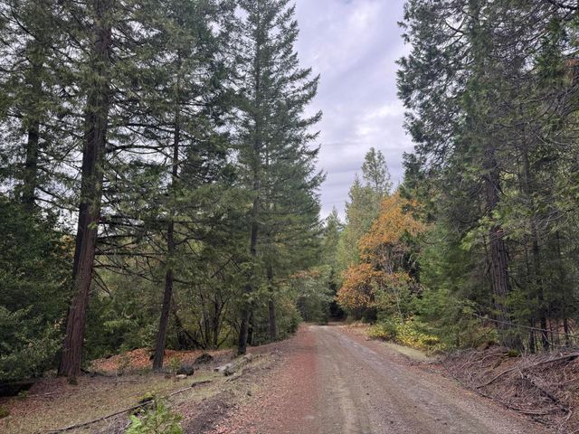 170 Justice Road, Zenia, CA 95595