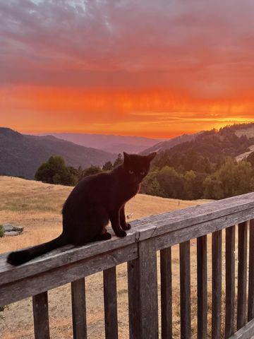 170 Justice Road, Zenia, CA 95595