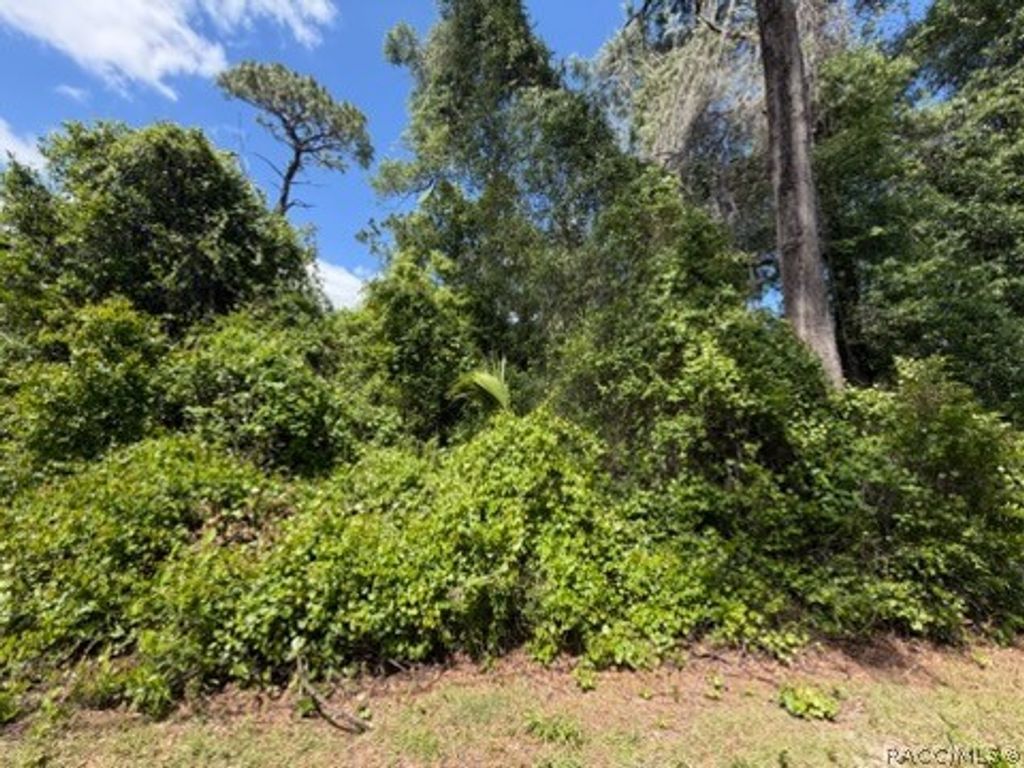 6475 E Seneca Street, Inverness, FL 34452