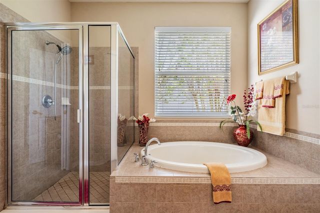 19101 LONE CREEK COURT, Land O Lakes, FL 34638