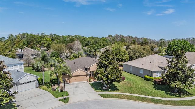 19101 LONE CREEK COURT, Land O Lakes, FL 34638
