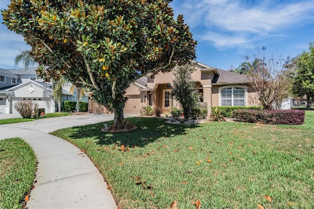 19101 LONE CREEK COURT, Land O Lakes, FL 34638