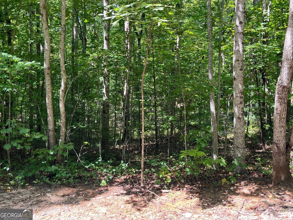 LOT 7 Forest Canopy Way, Clayton, GA 30525 — exterior