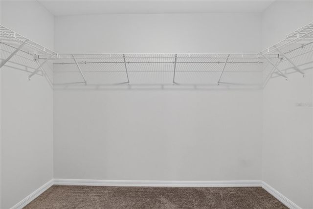 12643 MAPLE BONSAI DRIVE, Riverview, FL 33579