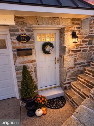 534 DOMINO LN, Philadelphia, PA 19128