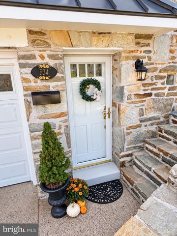 534 DOMINO LN, Philadelphia, PA 19128