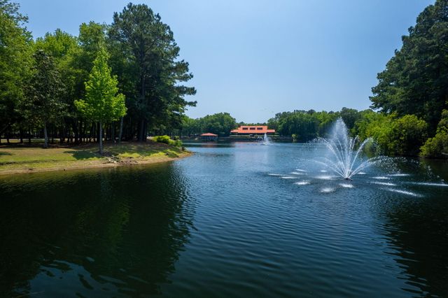 3425 Thunder Gulch Trail, Awendaw, SC 29429