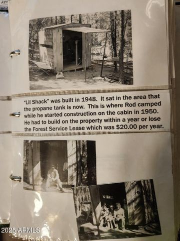 195 N JUNIPER Way, Payson, AZ 85541