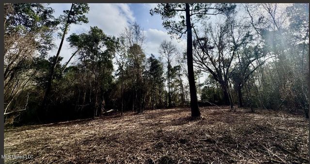 0 Elaine Street, Waveland, MS 39576