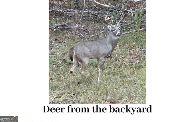 180 Lockwood Road, Fayetteville, GA 30215