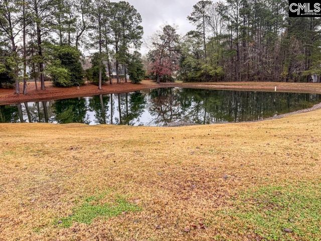 209 Farmhouse Loop, Lexington, SC 29072