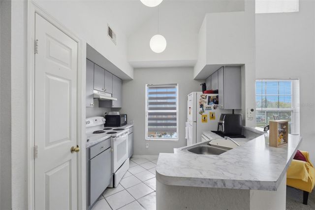 10562 WINDSOR LAKE COURT 10562, Tampa, FL 33626