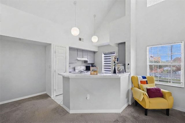 10562 WINDSOR LAKE COURT 10562, Tampa, FL 33626
