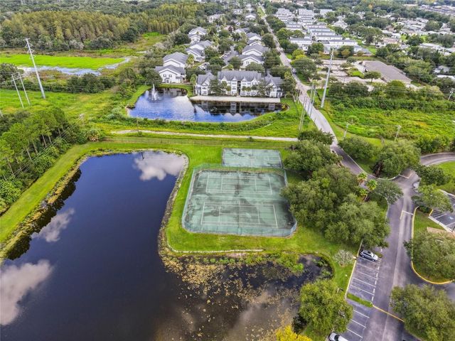 10562 WINDSOR LAKE COURT 10562, Tampa, FL 33626