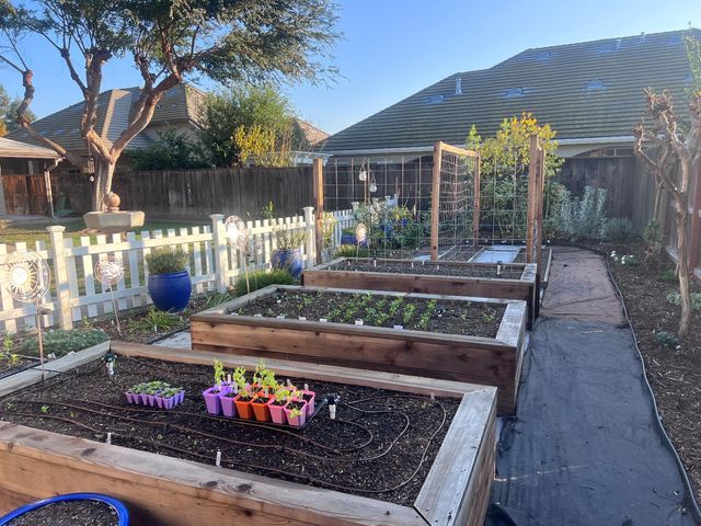 3335 Scottlee Dr, Turlock, CA 95382