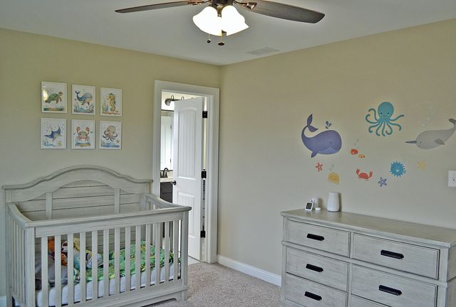 13366 Waterleaf Drive, St. John, IN 46373