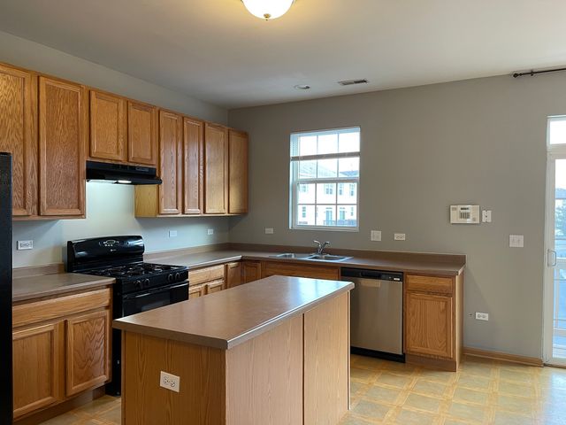 1353 W Alder Creek Drive 1353, Romeoville, IL 60446