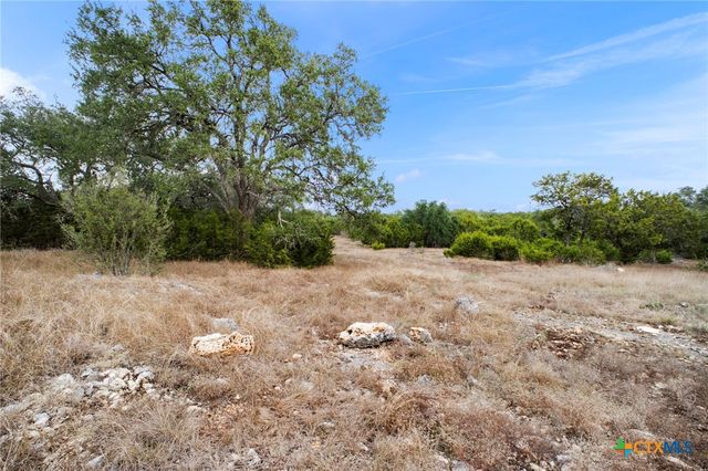 137 Red Tail Cove, Spring Branch, TX 78070