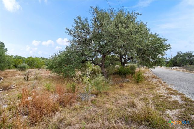 137 Red Tail Cove, Spring Branch, TX 78070