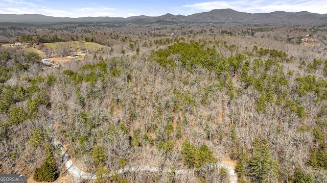 TRACT 3 Old Mill, Mineral Bluff, GA 30559