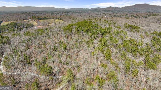 TRACT 3 Old Mill, Mineral Bluff, GA 30559