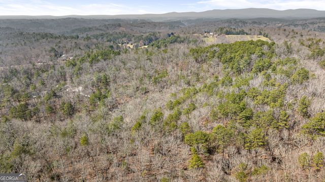 TRACT 3 Old Mill, Mineral Bluff, GA 30559