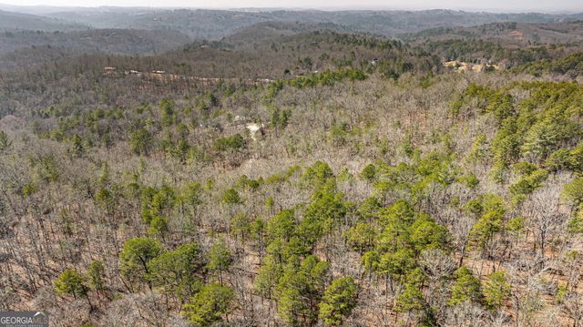 TRACT 3 Old Mill, Mineral Bluff, GA 30559