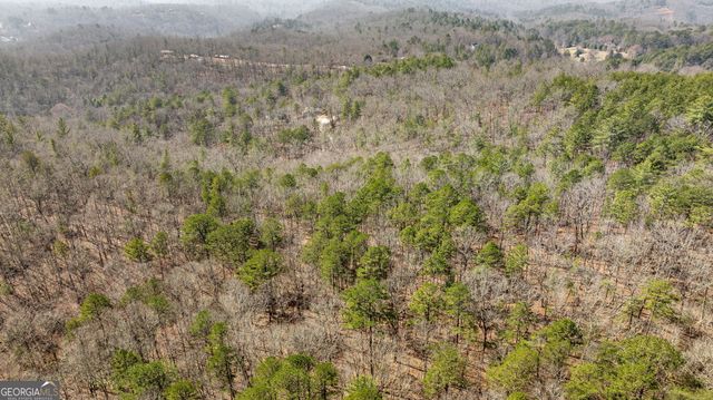 TRACT 3 Old Mill, Mineral Bluff, GA 30559