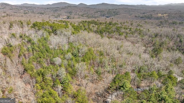 TRACT 3 Old Mill, Mineral Bluff, GA 30559