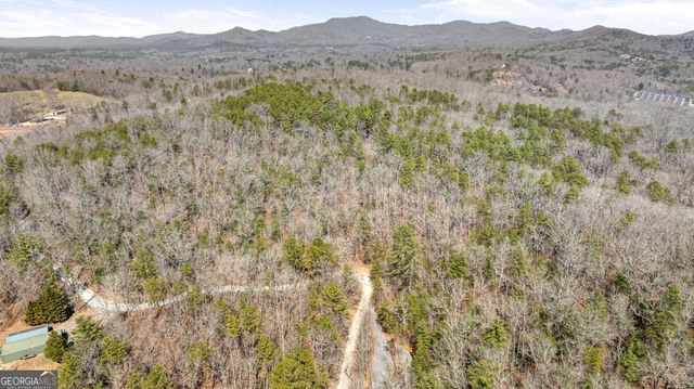 TRACT 3 Old Mill, Mineral Bluff, GA 30559