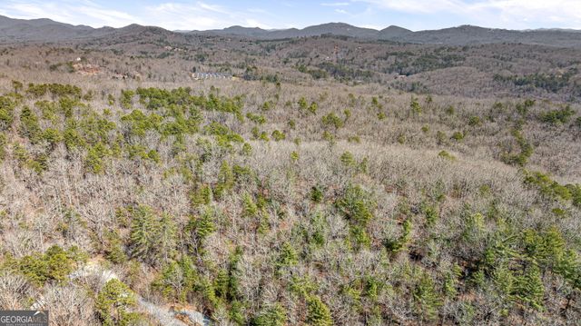 TRACT 3 Old Mill, Mineral Bluff, GA 30559