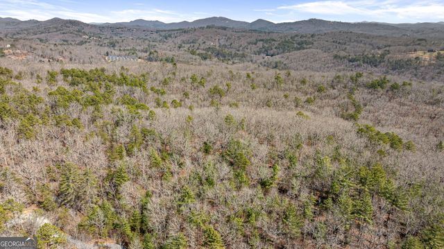 TRACT 3 Old Mill, Mineral Bluff, GA 30559