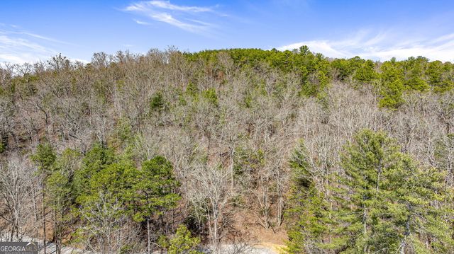 TRACT 3 Old Mill, Mineral Bluff, GA 30559