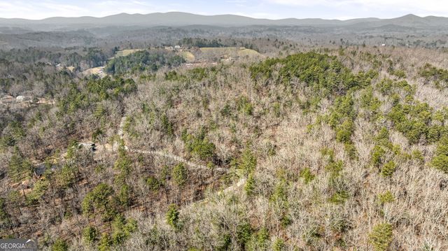 TRACT 3 Old Mill, Mineral Bluff, GA 30559