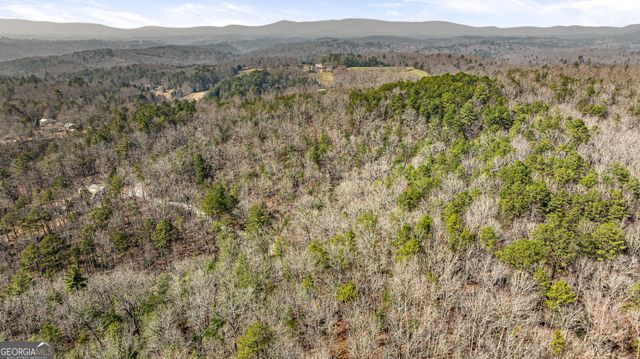 TRACT 3 Old Mill, Mineral Bluff, GA 30559