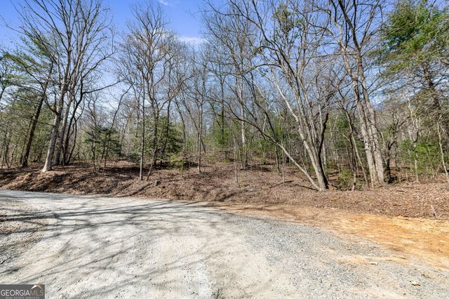 TRACT 3 Old Mill, Mineral Bluff, GA 30559