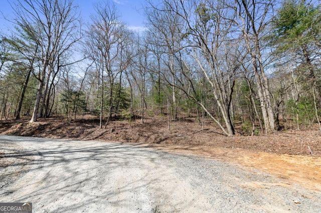 TRACT 3 Old Mill, Mineral Bluff, GA 30559