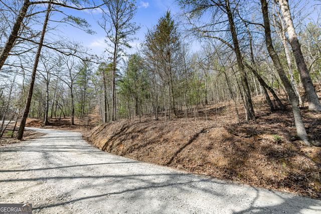 TRACT 3 Old Mill, Mineral Bluff, GA 30559