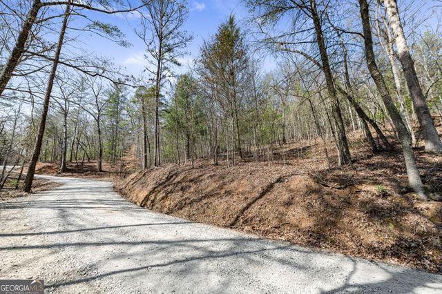 TRACT 3 Old Mill, Mineral Bluff, GA 30559