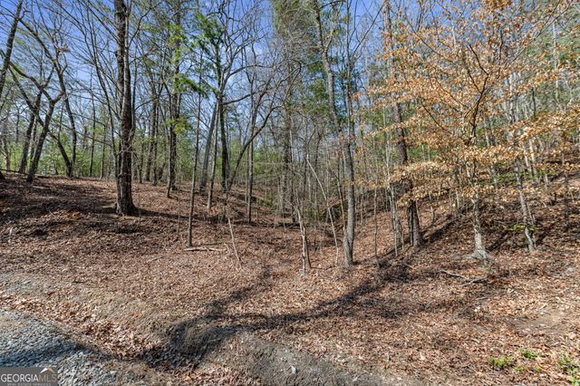 TRACT 3 Old Mill, Mineral Bluff, GA 30559