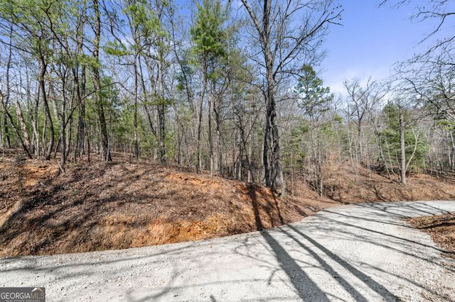 TRACT 3 Old Mill, Mineral Bluff, GA 30559