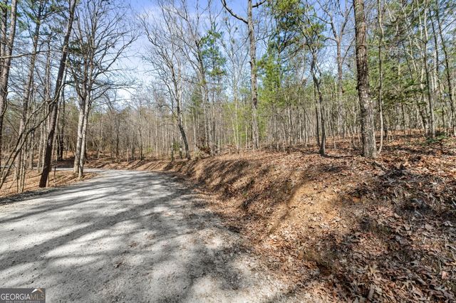 TRACT 3 Old Mill, Mineral Bluff, GA 30559