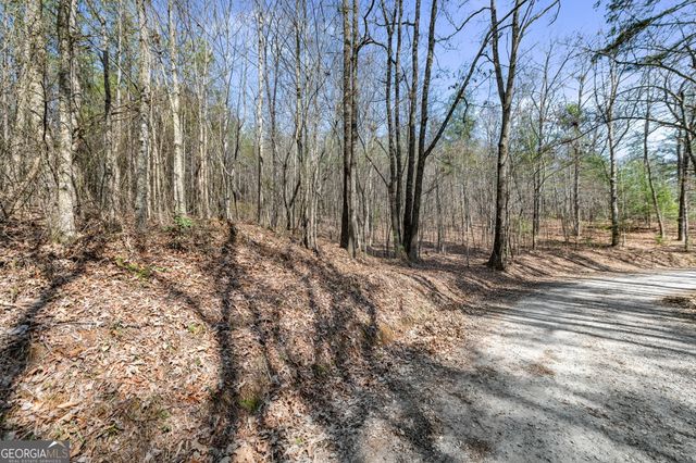 TRACT 3 Old Mill, Mineral Bluff, GA 30559