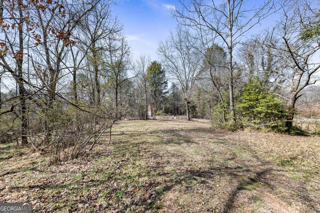 TRACT 3 Old Mill, Mineral Bluff, GA 30559