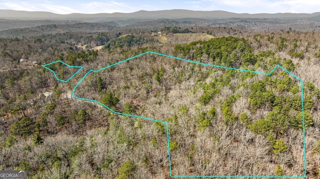 TRACT 3 Old Mill, Mineral Bluff, GA 30559