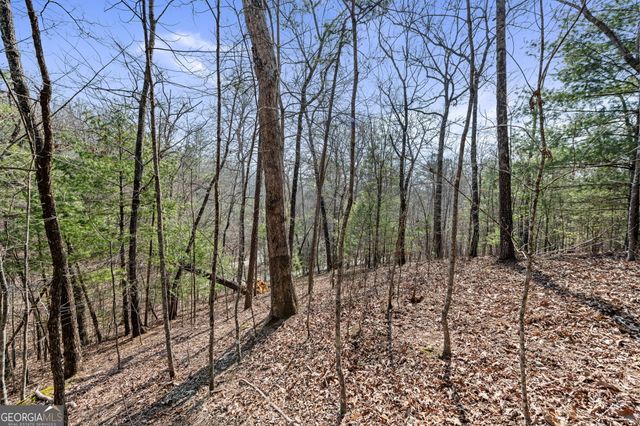 TRACT 3 Old Mill, Mineral Bluff, GA 30559