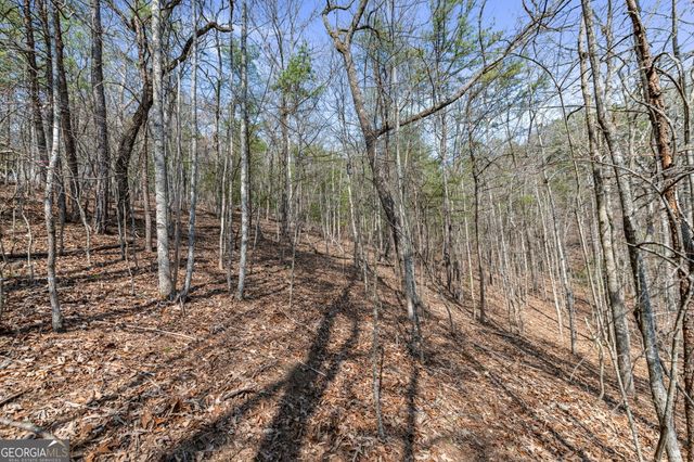 TRACT 3 Old Mill, Mineral Bluff, GA 30559