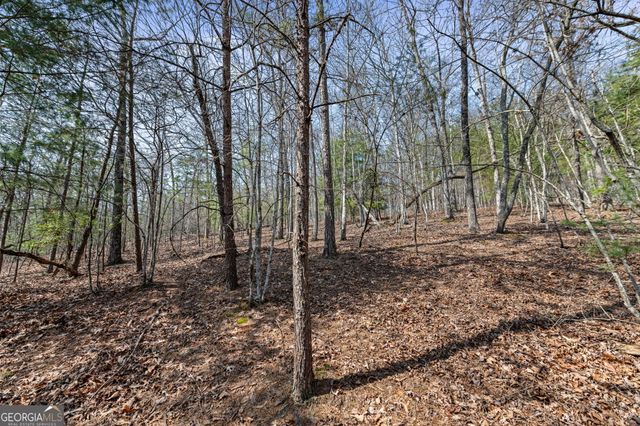 TRACT 3 Old Mill, Mineral Bluff, GA 30559