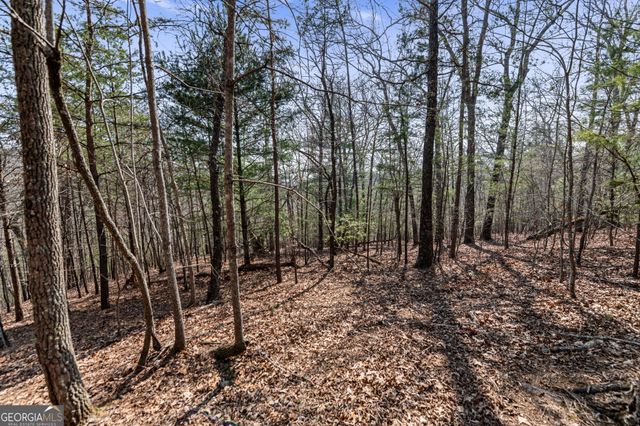 TRACT 3 Old Mill, Mineral Bluff, GA 30559